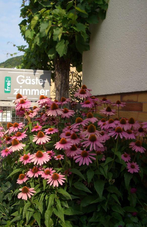 Gaestehaus Weberskirch แอนสท์ ภายนอก รูปภาพ